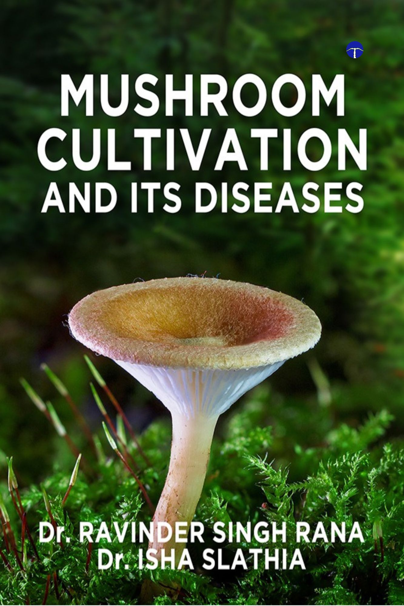 Techip Infotech Pvt Ltd